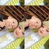 pgshapsahapindit