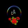 user899109852