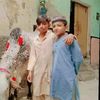 farmansardar39