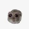 deptrainhatthegioi__0