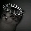 _nxkn2