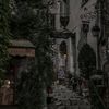 SHENAWE||شناوي