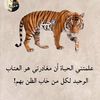 saqerrt23