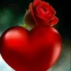 user55251258408244