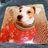pjward1961googlem6