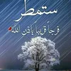 l3sri_3003