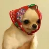 gjsutdtu
