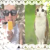 vaebispeak