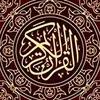 mustafa.shalabi17
