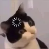 Xã stress cùng tui nè