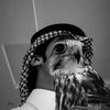 حمد