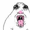 mads._.forever3