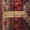 asenat5846