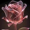 user1854190686