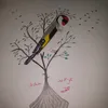 azedine.hala9