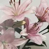 khayridinova_p