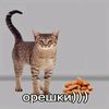diwfy