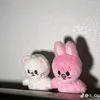 hafsa_k_k_6