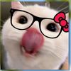 nadthekittiess