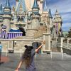 _justalittlefairydust1