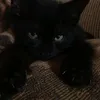 ivanie.e