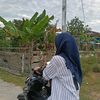 ciksukma3