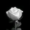 hamidullah.ahmadu