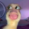 zyxndunn