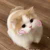 phuong_thao5c