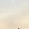 khoachuam7