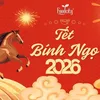 Tết Bính Ngọ 2026🧧