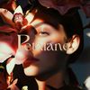petalane.ch