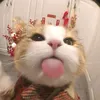 yiumusicsong