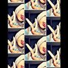 hasna.kamila91