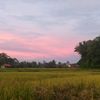 bundazahra_63