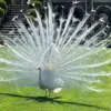 jatt_7859