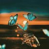 mb9by