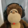 barrythemonkey745