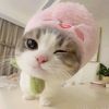 manusia_imup38