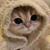 teddy_14ym15y