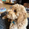 bertie.king5