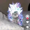 thanhnienfa04