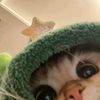 edwarddumpling