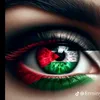 nouraydz1970
