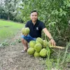 thai.le563
