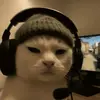 mzzonns15