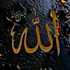 user2835398080036