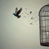 ali.abbas7507