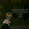 ...gull.rookh