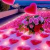 user6069486169781